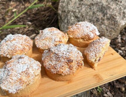 Raspberry Coconut Rounds with shortbread base, raspberry jam and coconut topping