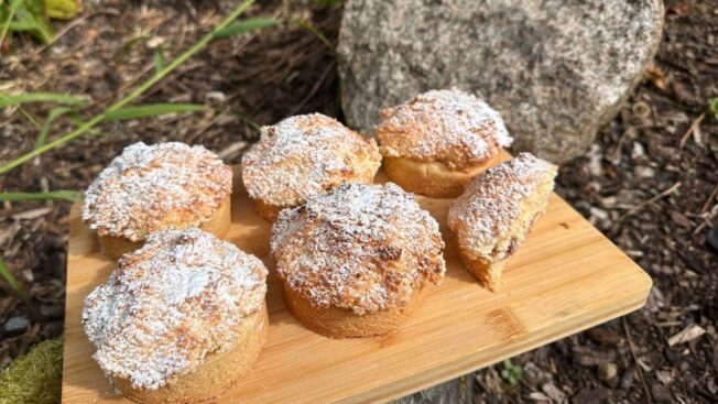 Raspberry Coconut Rounds with shortbread base, raspberry jam and coconut topping