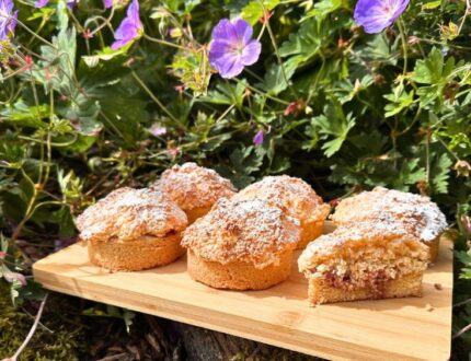 Raspberry Coconut Rounds with shortbread base, raspberry jam and coconut topping