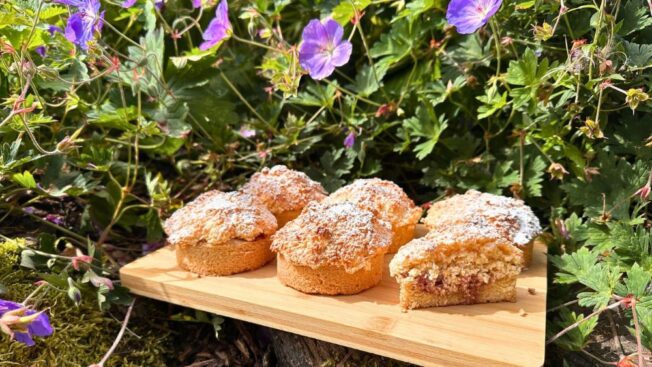 Raspberry Coconut Rounds with shortbread base, raspberry jam and coconut topping